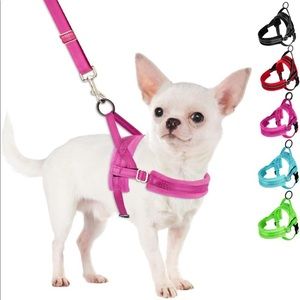 Dog harness and leash